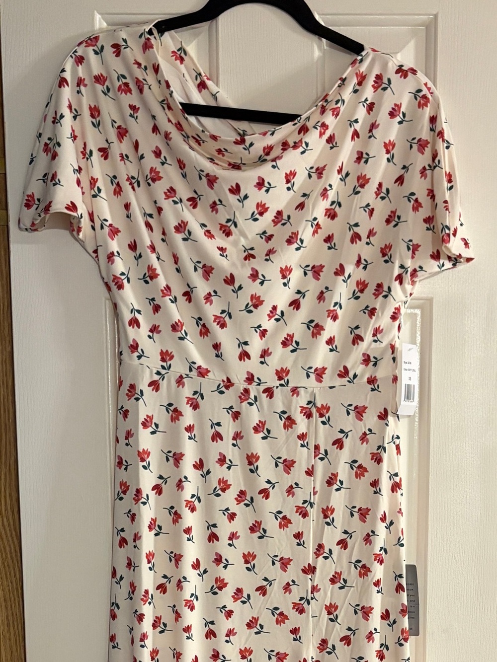 Nordstrom Ivory Dress with Red Floral Print, size XS. MSRP $249